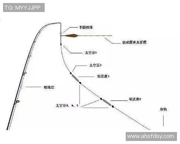 渔具选购与使用技巧全攻略助你成为钓鱼高手
