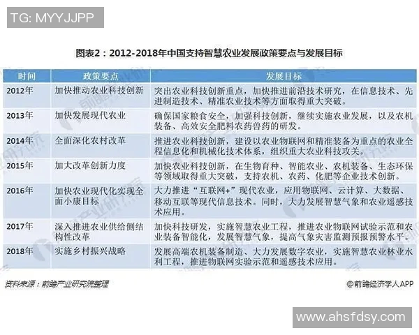 南京篮球队阵地战革新探讨与未来发展策略分析