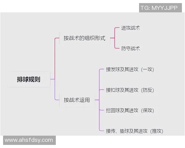 成都排球队节奏表现分析与战术优化研究报告 成都排球队节奏表现分析与战术优化研究报告