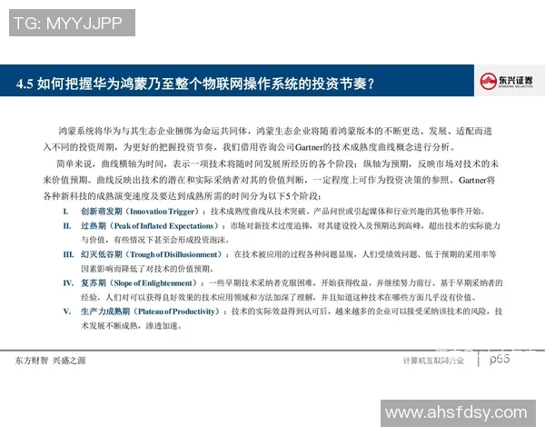 成都排球队技术分析与战术创新的深度探讨与展望