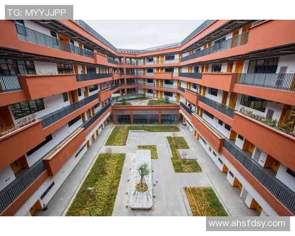 深圳飞盘队状态分析：实力提升与未来展望的深度探讨